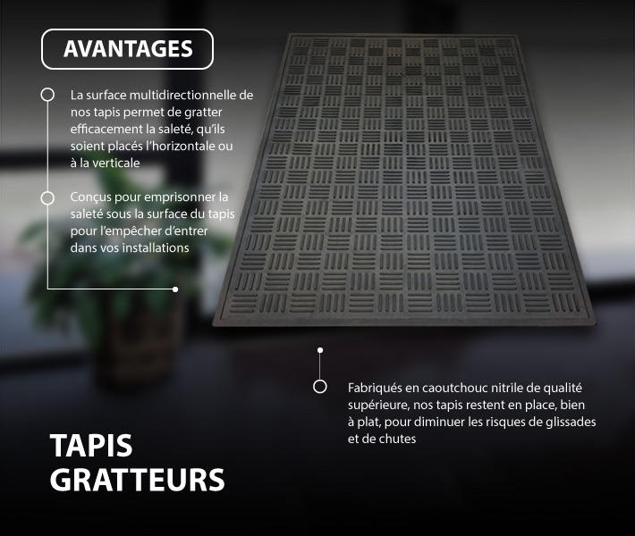 Tapis de sol grattoir